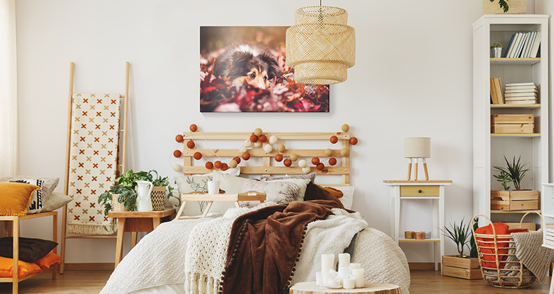 Fotopaveikslas miegamajame, dekoruotame rudens stiliumi.