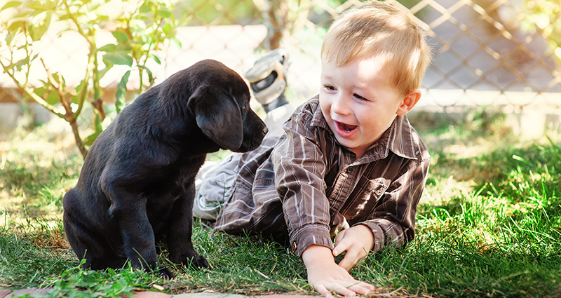 A boy playing with a puppy in the garden