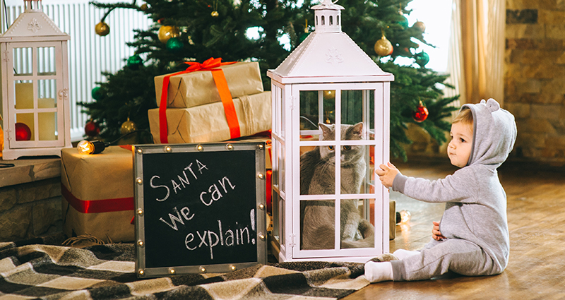 Een kind dat een overall draagt. Het zit naast een kerstboom en cadeautjes en speelt met een kat die zich in een grote glazen lantaarn bevindt. 