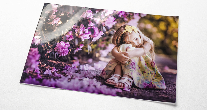 A photo of a girl sitting next to purple flower bushes – a photo printed on the METALLIC paper.