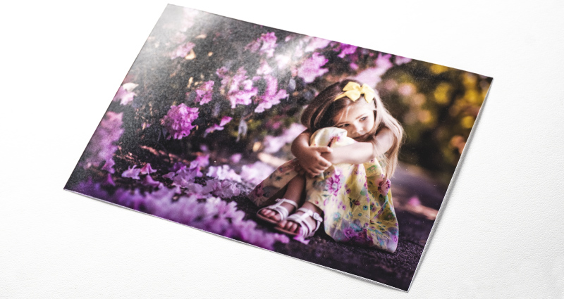A photo of a girl sitting next to purple flower bushes – a photo printed on the Mat Premium paper.