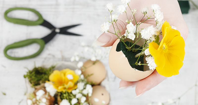 Priartinimas ant moters rankų, laikančių kiaušinio lukštą su gėlėmis viduje, fone šviesus stalas su žirklėmis ir Velykų dekoracija.