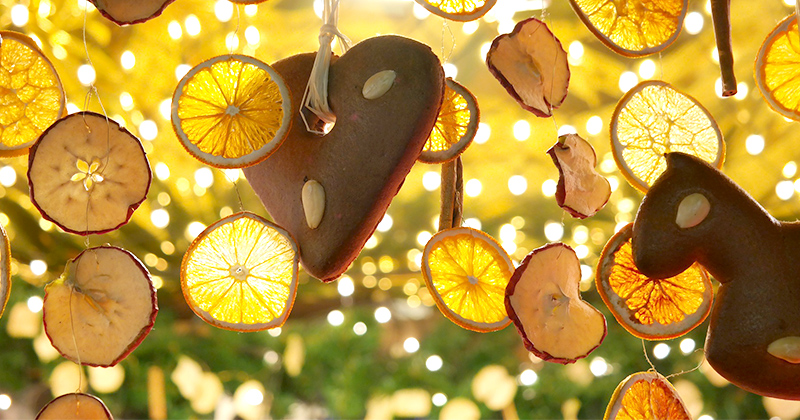 Las decoraciones navideñas de naranjas y manzanas secas. 