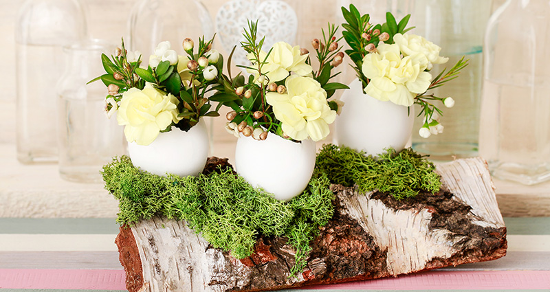 Velikonoční dekorace s březového špalku a vaječných skořápek.