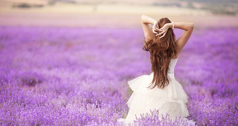 A photo of a bride walking through a field of blossoming lavender.