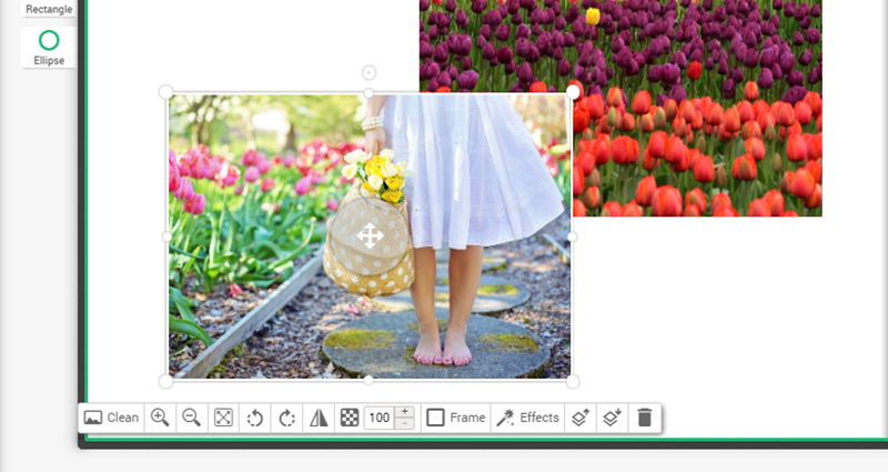 Photo edition options in Colorland’s editor – screenshot 10.