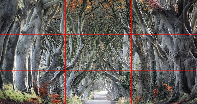 Image d'un chemin dans la forêt, cadre divisé en 9 parties utilisant des grilles