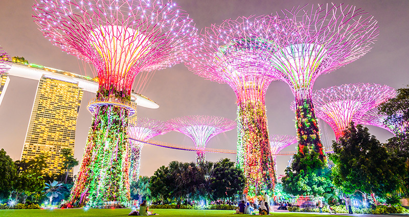 De beroemde Garden by the Bay in Singapore; een foto genomen vanuit het perspectief van een kikker