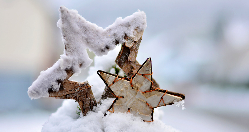 Medinės žvaigždės, padengtos sniegu.