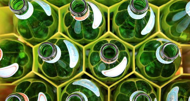Botellas verdes en una caja verde.