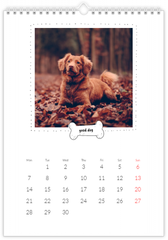 Photo Calendar A4 Portrait A Calendar with a Dog