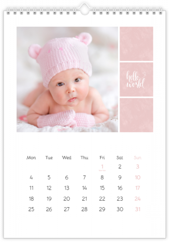 Calendrier Photo A4 Vertical Ange - rose