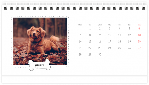Photo Calendar Desk A5 A Calendar with a Dog