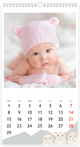 Photo Calendar XL Morbido