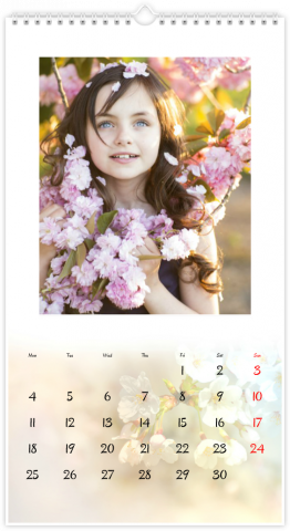 Photo Calendar XL SAISONS