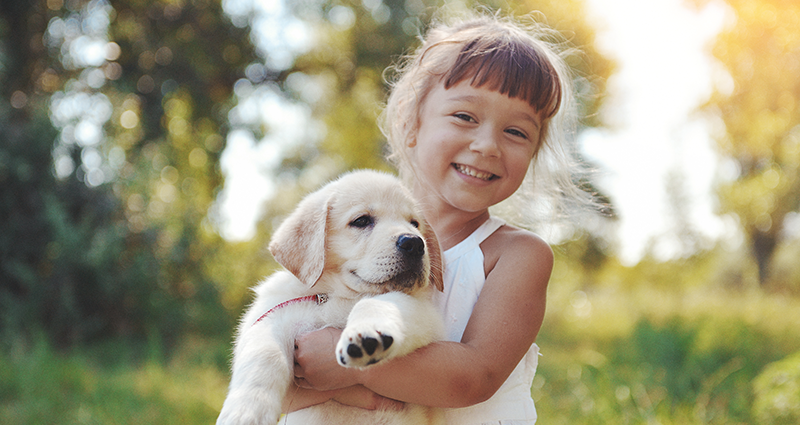 Una bambina con il suo cane in posa per una foto che verrà utilizzata in seguito in un libro con foto di cani