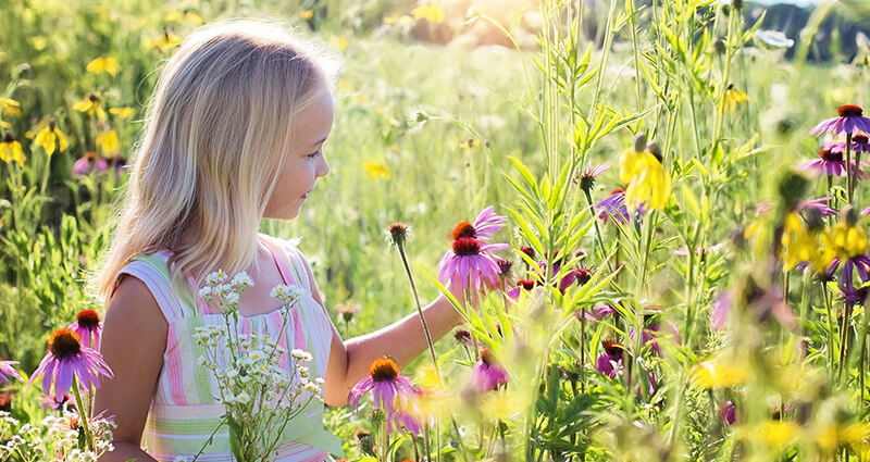 Una niña en la pradera con un buquete de margaritas. 