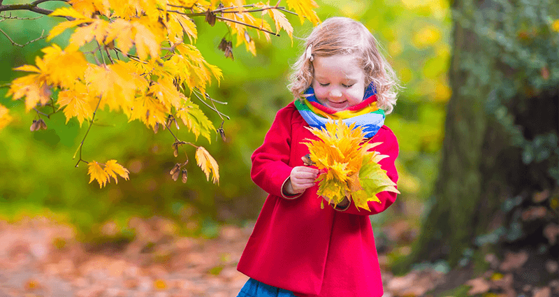 La niña con los hojas en la mano en el bosque. 
