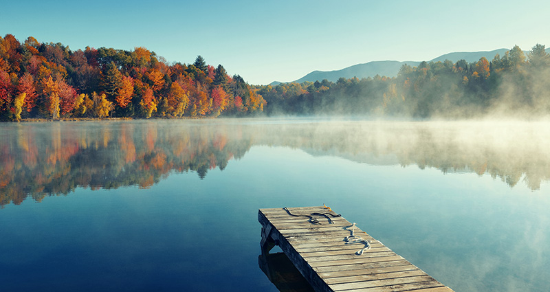 A photo of the fog over a lake with the forest in the background.