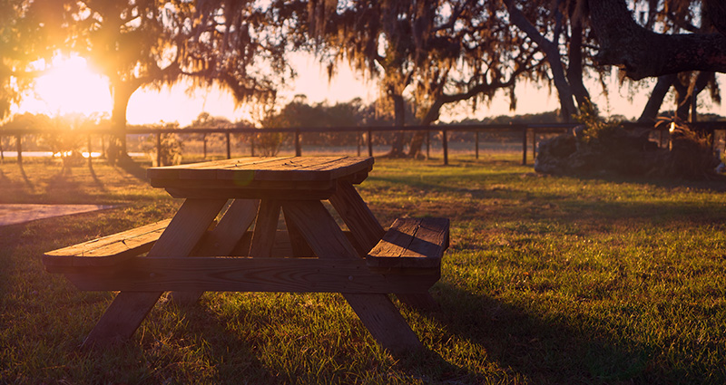 A photo taken in a park at the magic hour. 