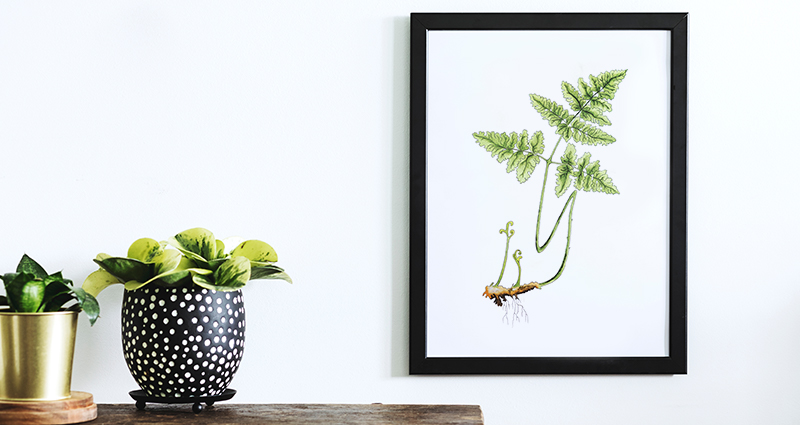 Close-up on a wooden shelf with plants in decorative flowerpots on it. A picture of a fern leaf in a black frame next to the shelf.