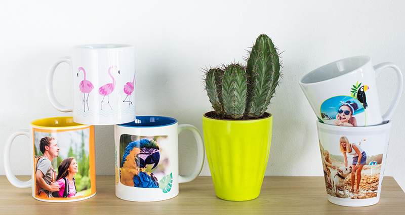 Tazze colorate e tazze latte su uno scaffale, nel mezzo un cactus in un vaso verde