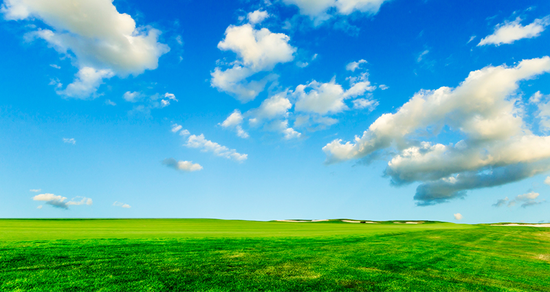 Groene weide en blauwe hemel met witte wolken.