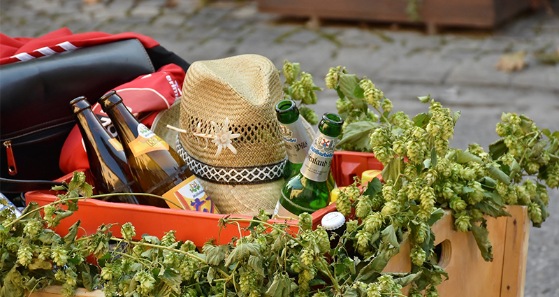 Pequeño carro con una caja de cerveza decorada con ramas de árboles.