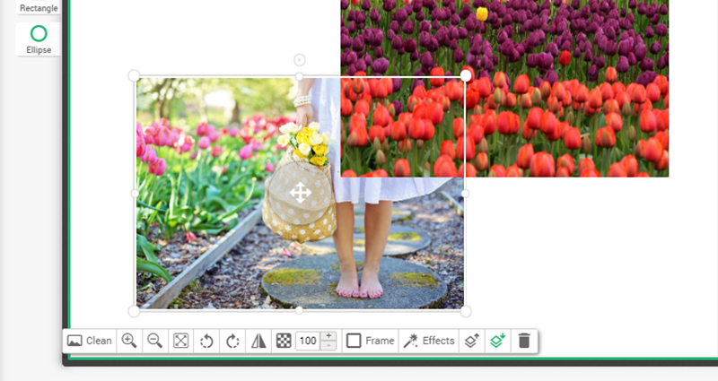 Photo edition options in Colorland’s editor – screenshot 11.
