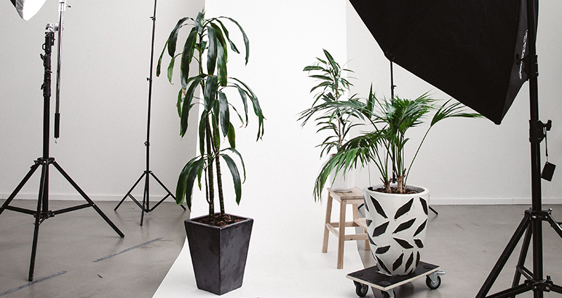 Studio fotografico con lampade, sfondo bianco su un telo, fiori in vasi bianchi e neri