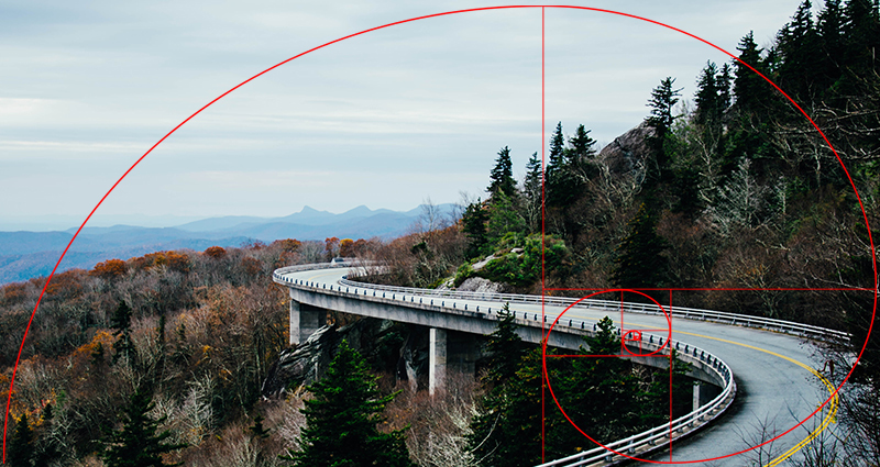 Bild von einem Weg mit Kurven und der Fibonacci-Spirale drauf gezeichnet