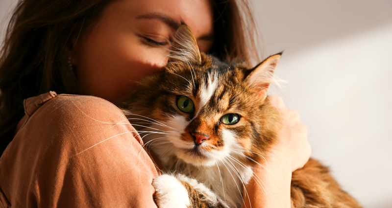 Porträt einer Frau mit einer Katze in einem Katzenfotoalbum