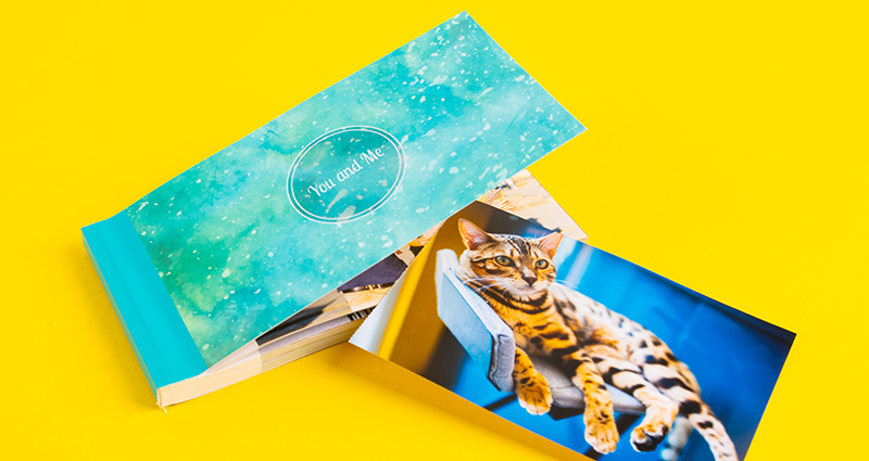 Un sharebook avec la couverture soulevée et la photo d’un chat detachée.