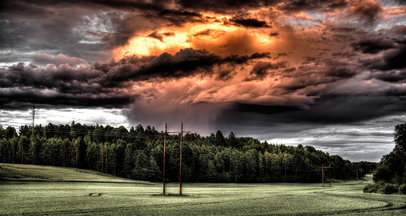 Storm cloud over the meadow and the forest.