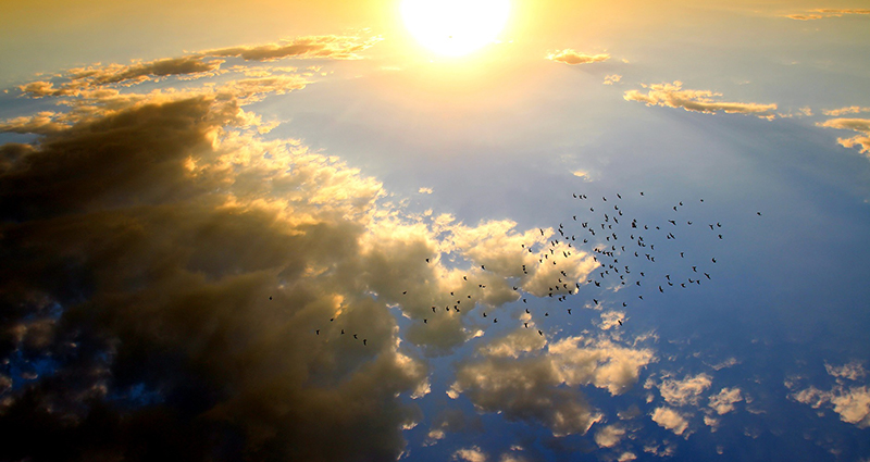 Un coucher du soleil avec des petits nuages et  des oiseaux à l’horizon.