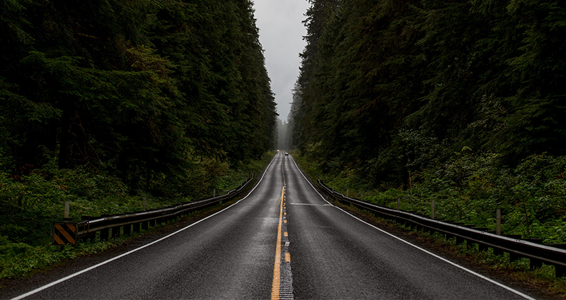 Symmetrical road in the wood