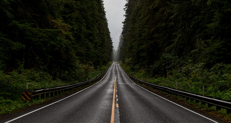 Symmetrical road in the wood