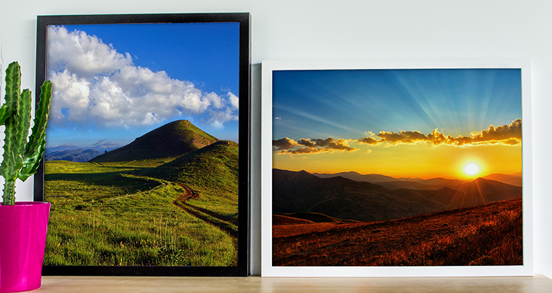 Two framed landscape photo canvases on a bookshelf next to a cactus in a pink vase