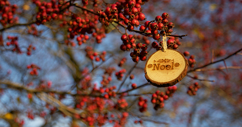 Décoration  en bois accrochée à l’arbre.