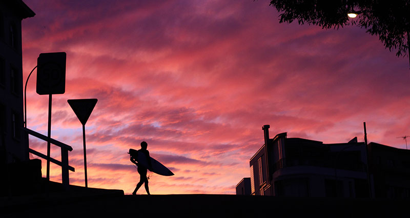 Dark foreground of a photo showing the purple sky.