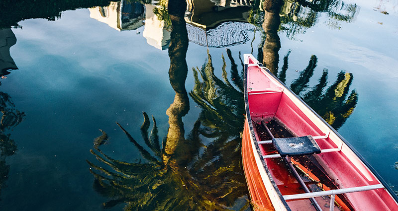 Reflection of palm trees in a lake with a pink-orange boat.