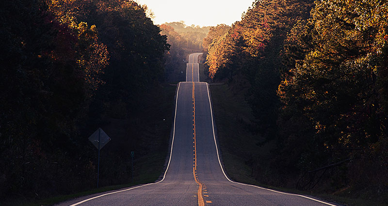 A symetric road in a forest.