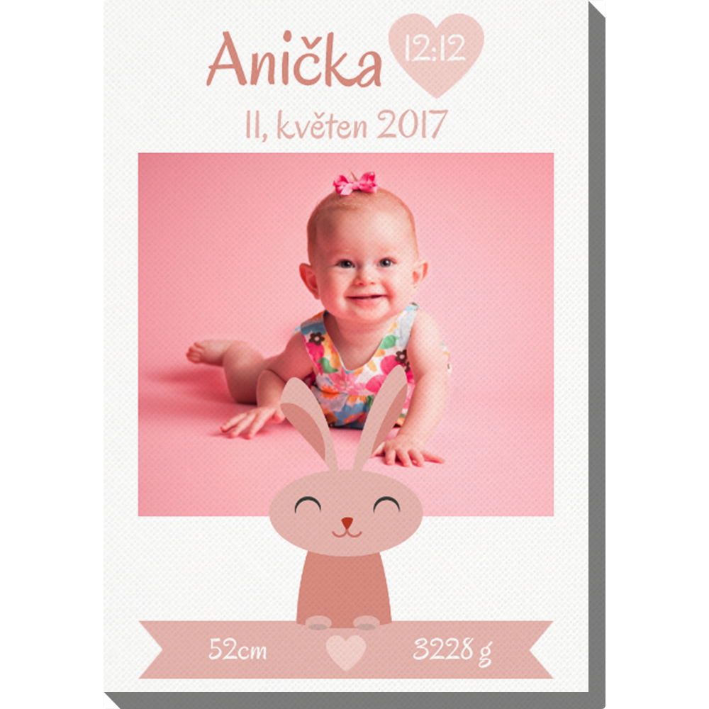 Levně Paní Králiková