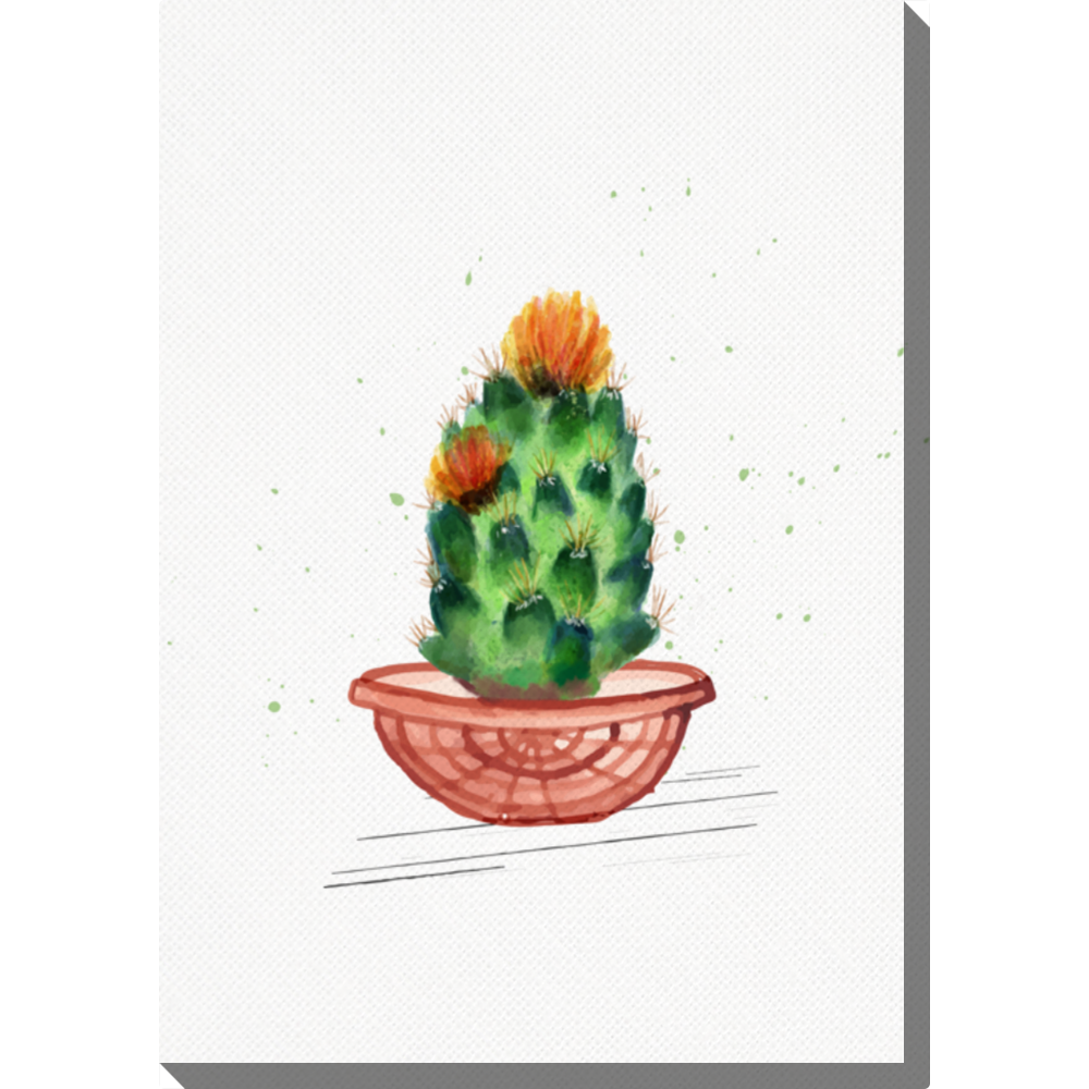 Levně Malovaný kaktus