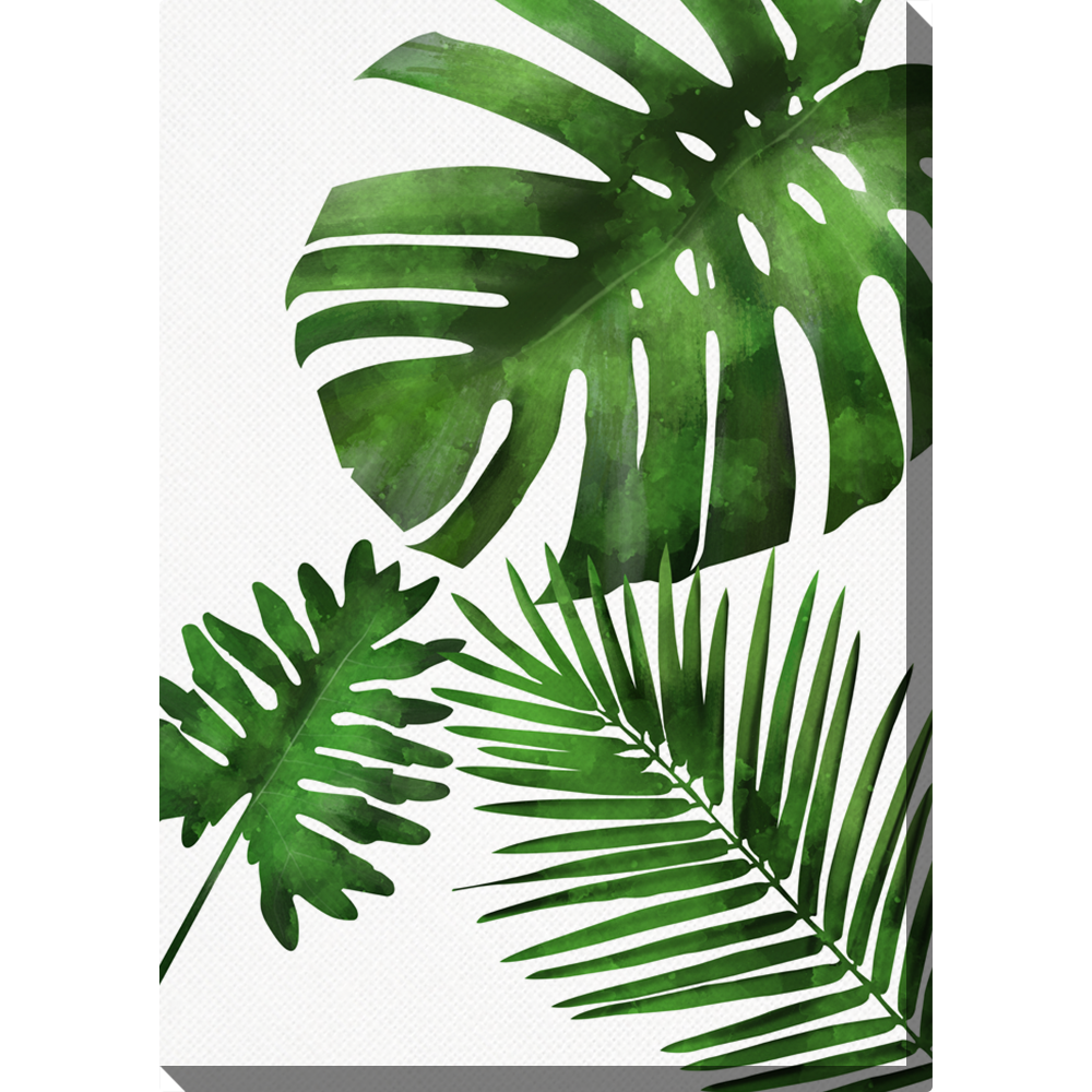 Levně Palmové listy