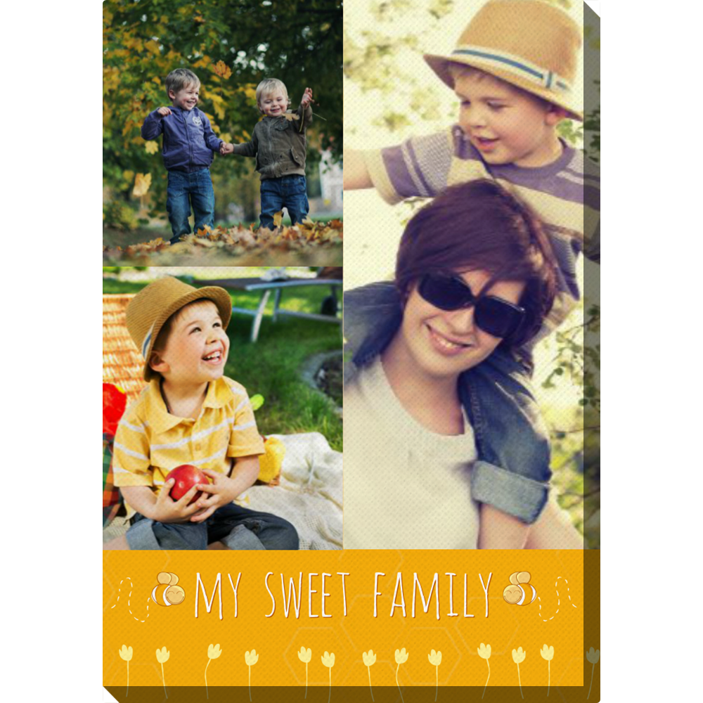 <p>Lieve Familie is een optimistisch canvasdoek bedoeld vooral voor mensen die graag een collage willen maken van hun mooiste foto's. Het is het beste canvasdoek om je familiefoto's erop af te drukken. Wacht niet langer en ontwerp je eigen canvas doek met