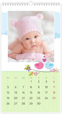 Calendrier Photo XL Petits oiseaux