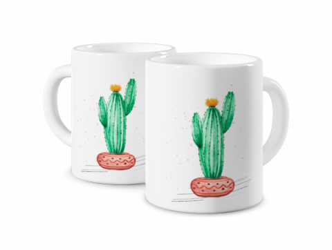  Cactus