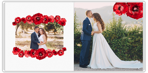 Luxury Photo Album 15x15 Painted Poppies