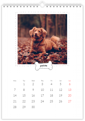 Fotocalendario A4 Vertical Fotocalendario con perrito